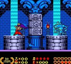 Illustration for article titled The Shantae Series: Part One -> Shantae (GBC) -- The TAY Review